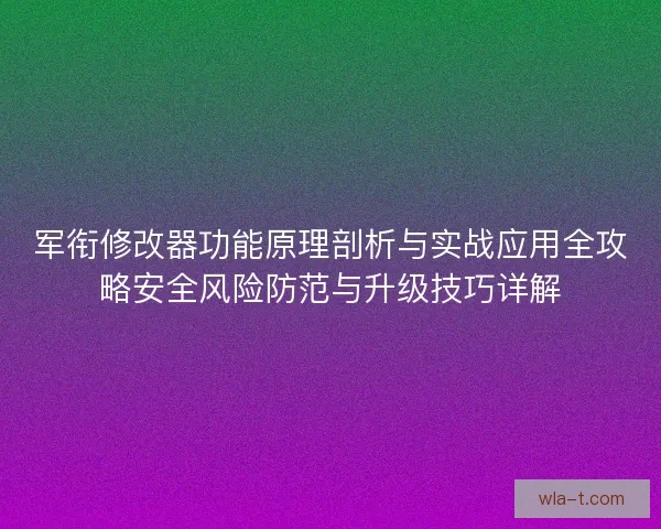 军衔修改器功能原理剖析与实战应用全攻略安全风险防范与升级技巧详解