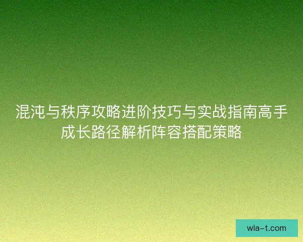 混沌与秩序攻略进阶技巧与实战指南高手成长路径解析阵容搭配策略