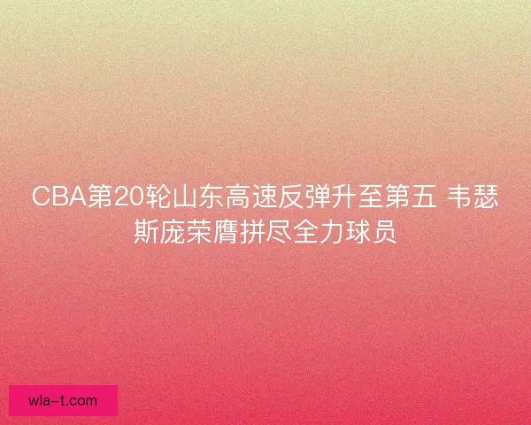 CBA第20轮山东高速反弹升至第五 韦瑟斯庞荣膺拼尽全力球员