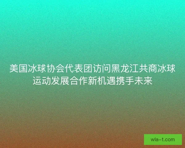 美国冰球协会代表团访问黑龙江共商冰球运动发展合作新机遇携手未来 美国冰球协会代表团访问黑龙江共商冰球运动发展合作新机遇携手未来