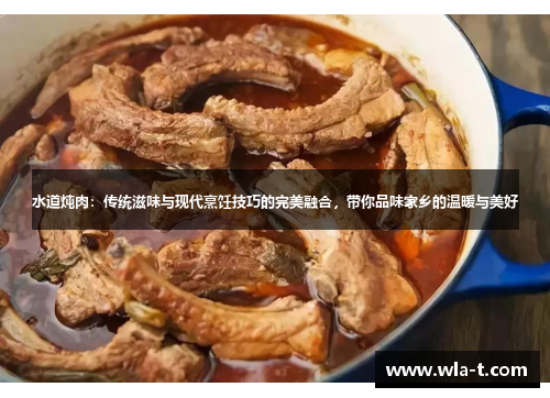 水道炖肉：传统滋味与现代烹饪技巧的完美融合，带你品味家乡的温暖与美好